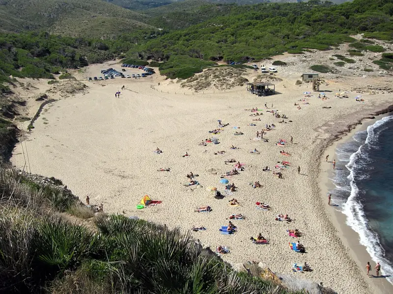 Cala Torta – crique sauvage à Majorque avec eaux turquoise