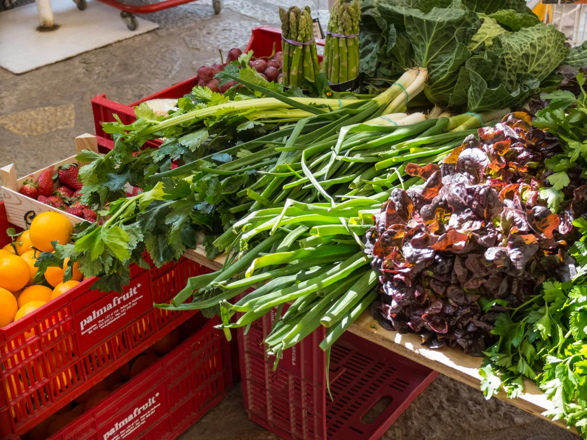 Fornalutx — malerisches Bergdorf in der Serra de Tramuntana, Mallorca