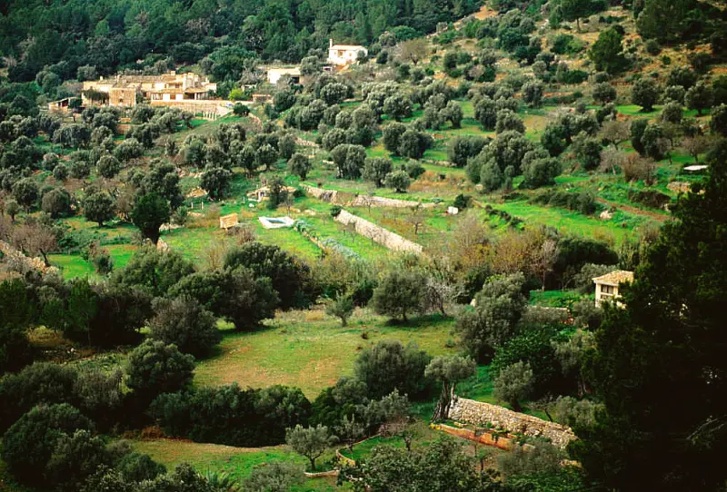 Ländliche Landschaft bei Andratx, Mallorca — ideal für Wohnmobil-Touren