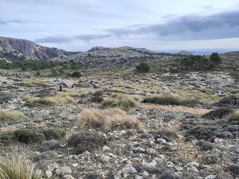 Wanderweg Camí de s'Arxiduc bei Valldemossa in der Serra de Tramuntana, Mallorca